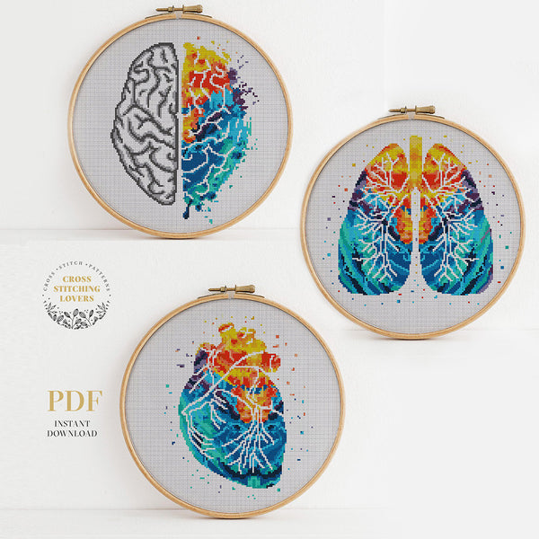 Human anatomy bundle - Cross stitch pattern