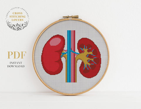 Anatomical Kidneys - Cross Stitch Pattern