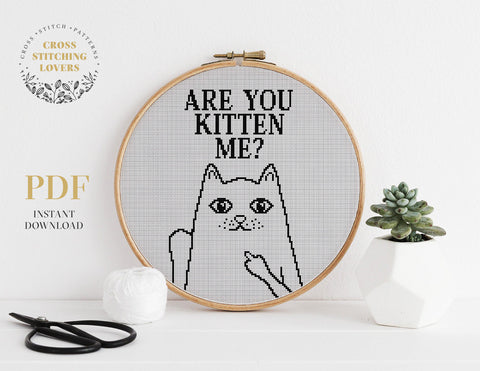 Are You Kitten me? - Cross stitch pattern